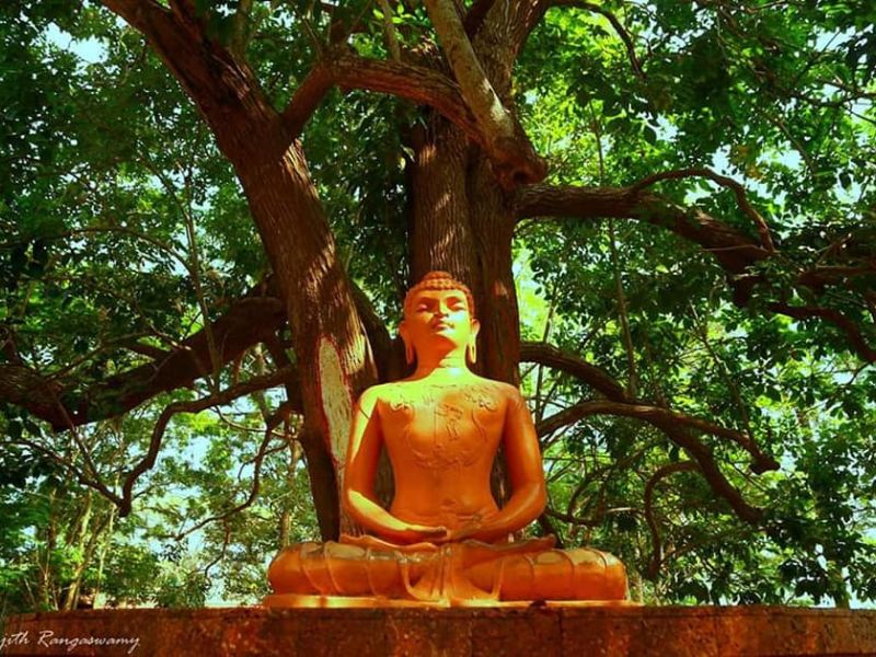 The Budha statue at Zamorin Guruvayurappan College, installed by Prof. Sobhindran